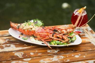 Best Places for Foodies to Travel Around the World